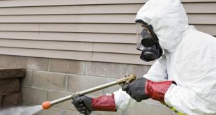 شركة رش مبيدات بخميس مشيط